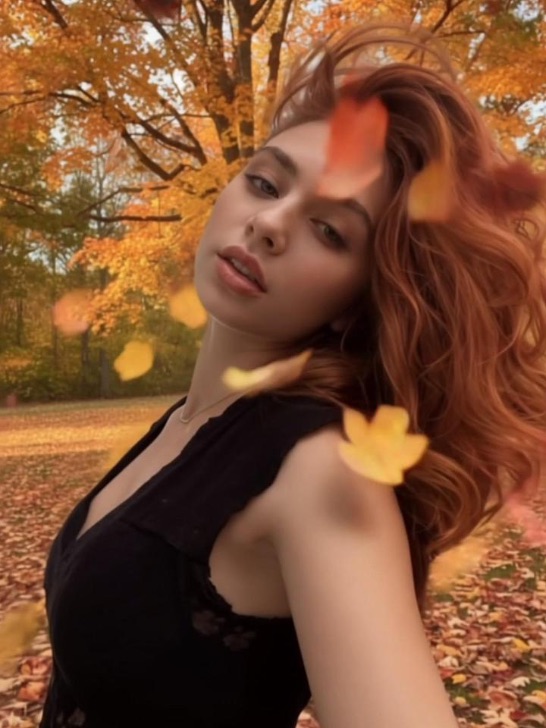 Fallen Leaves
