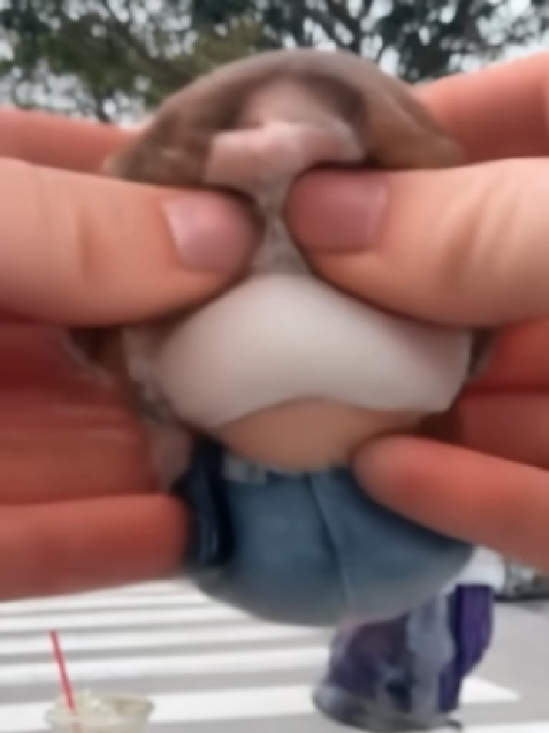 Squishy Relief
