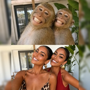 Meme Genes